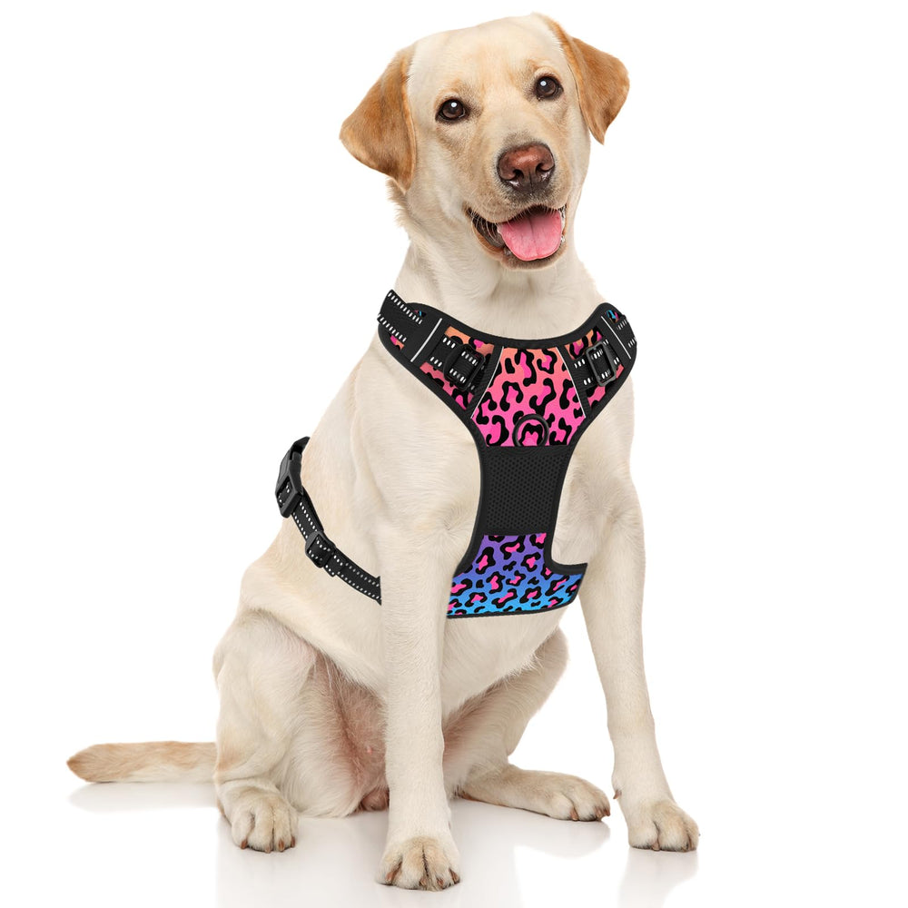 Rnivvi arnés perro acolchado ergonómico para caminatas largas y cómodas