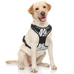 Rnivvi arnés zebra estampado trasero ideal para paseos relajados