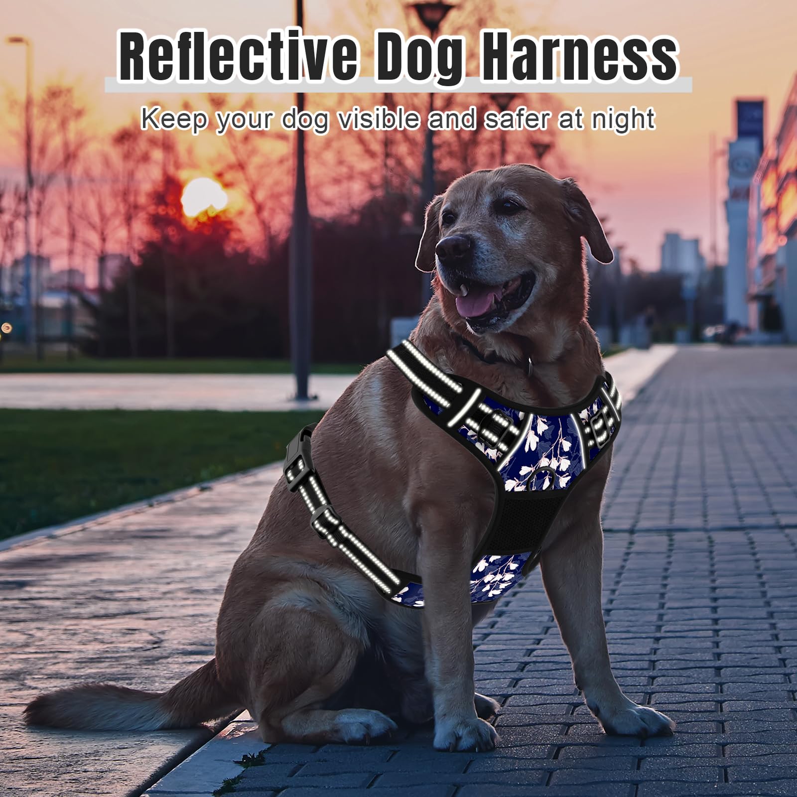 Rnivvi blue white flower design adds cute style to medium dogs