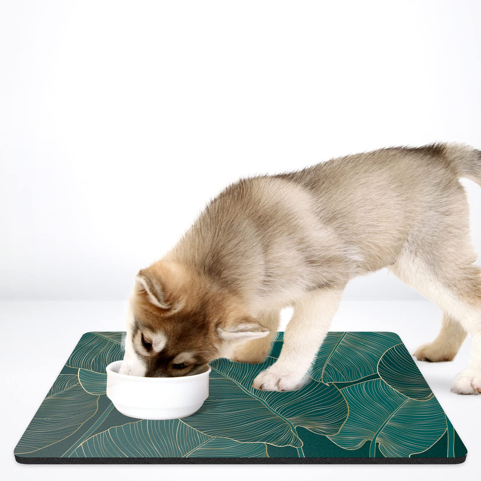 Rnivvi dog-cat feeding mat setup keeps bowls organized.