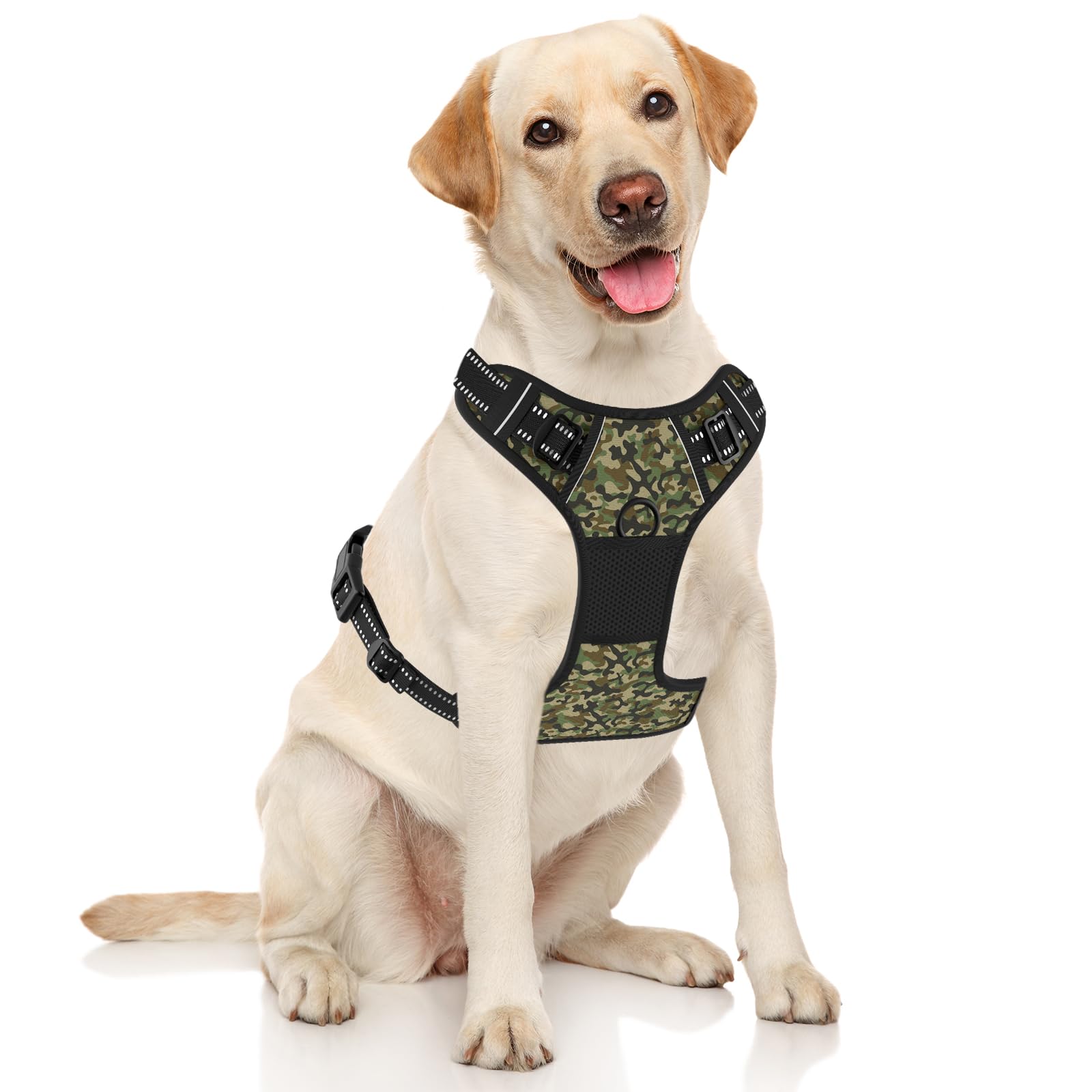 Rnivvi Dog Harness back-clip adjustable straps for a secure fit