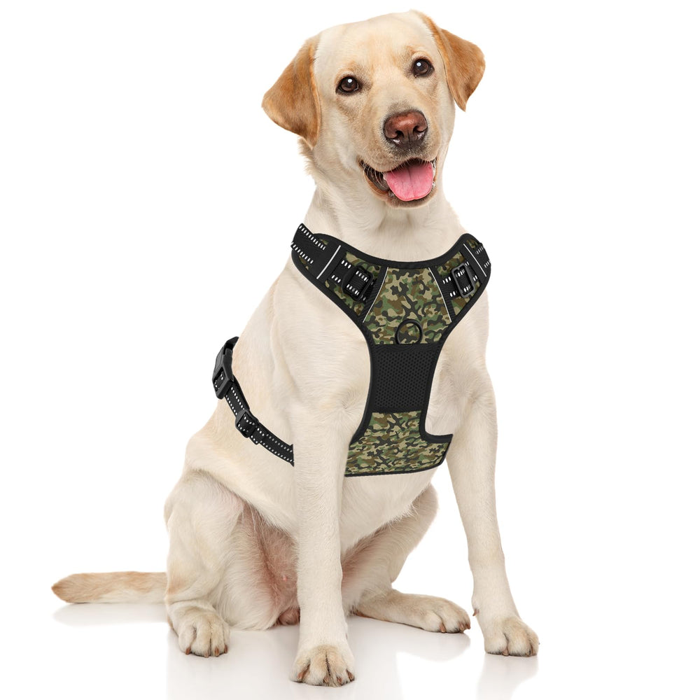 Rnivvi Dog Harness back-clip adjustable straps for a secure fit