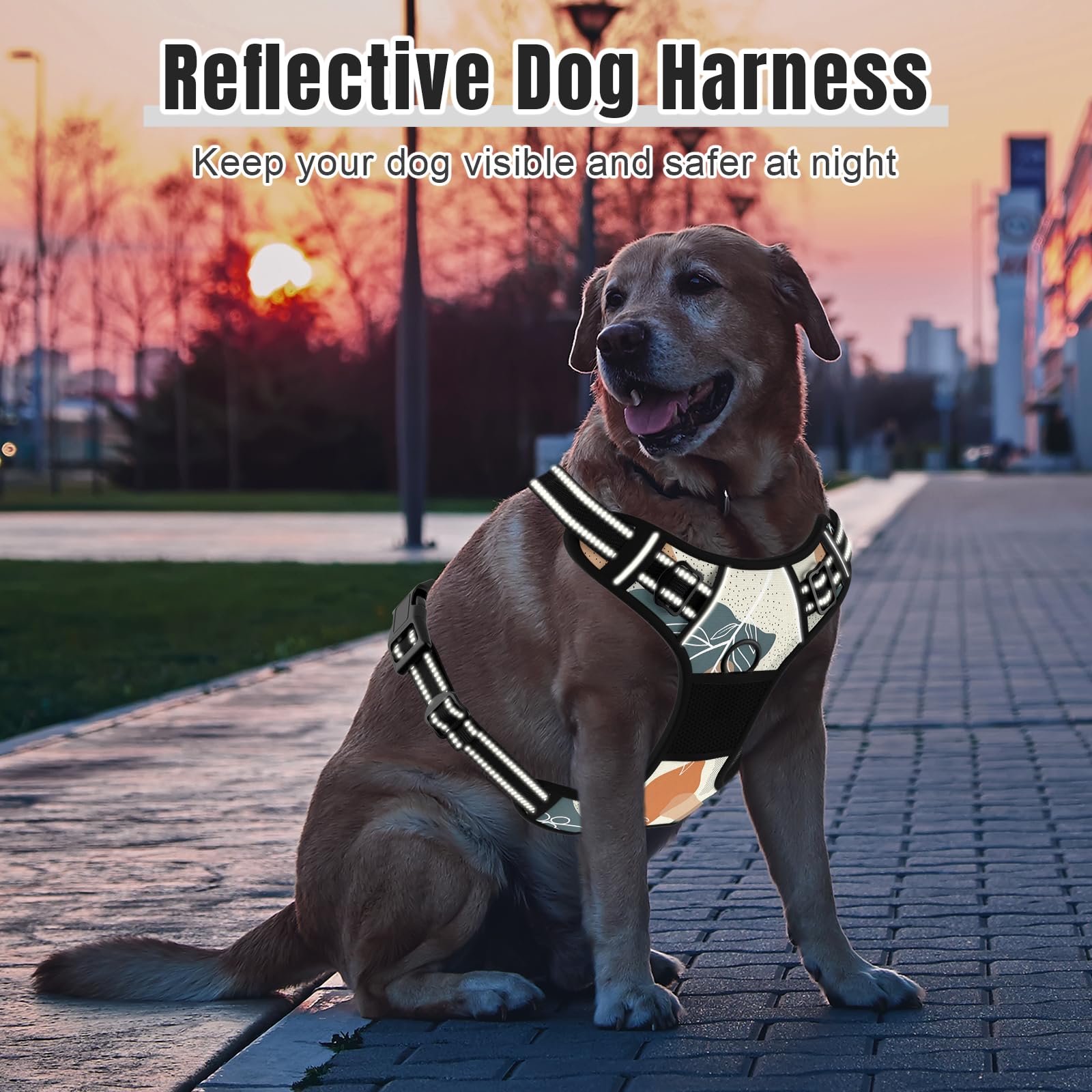 Rnivvi Leaves harness with four adjustable straps fits most large dogs.