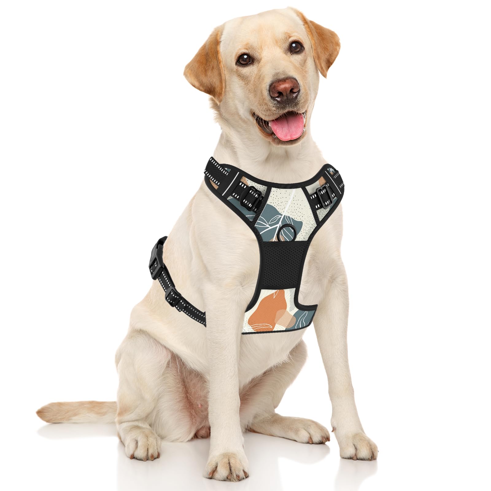 Rnivvi Leaves harness front clip helps reduce pulling during training walks.