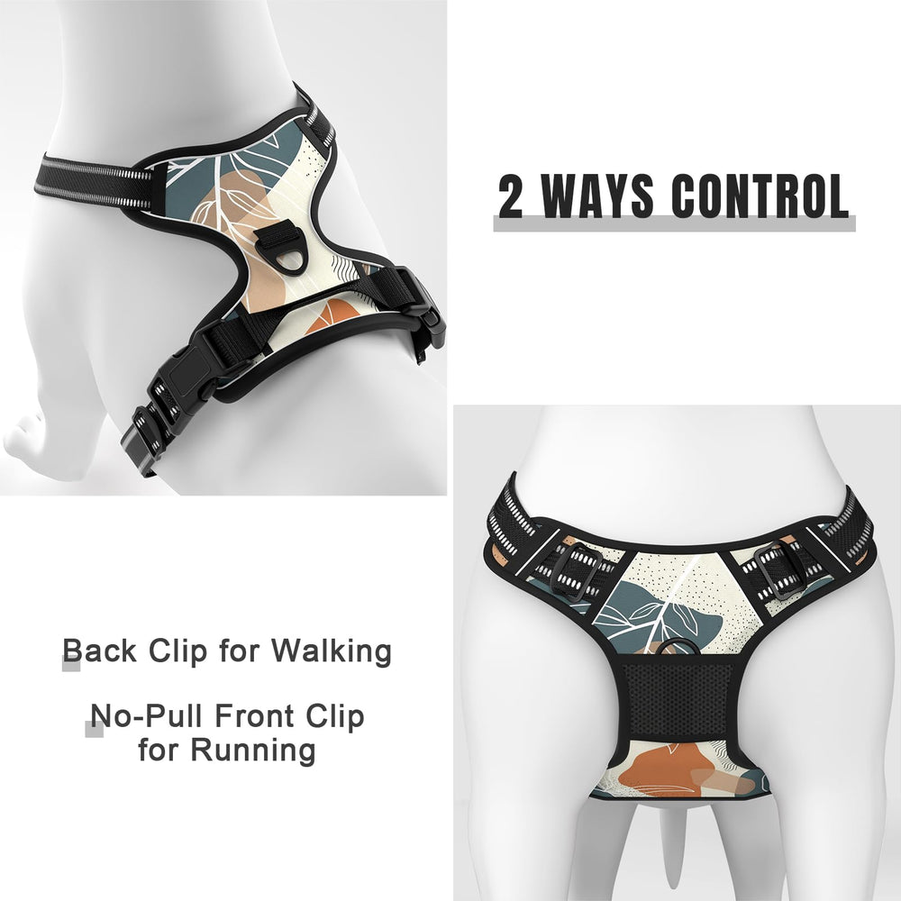 Rnivvi Leaves harness with reflective stitching boosts dusk safety.