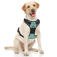 Rnivvi no-pull-dog-harness back clip for relaxed walking and versatility.
