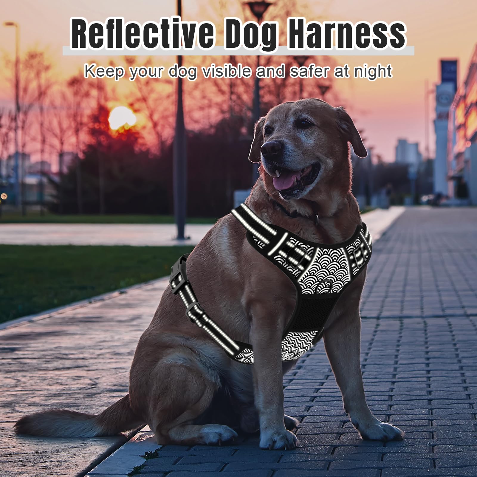 Rnivvi No Pull Harness gray color variant shown on medium dog