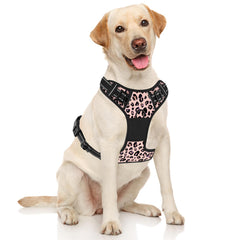 Rnivvi leopard pink no-pull harness back clip enables relaxed strolls