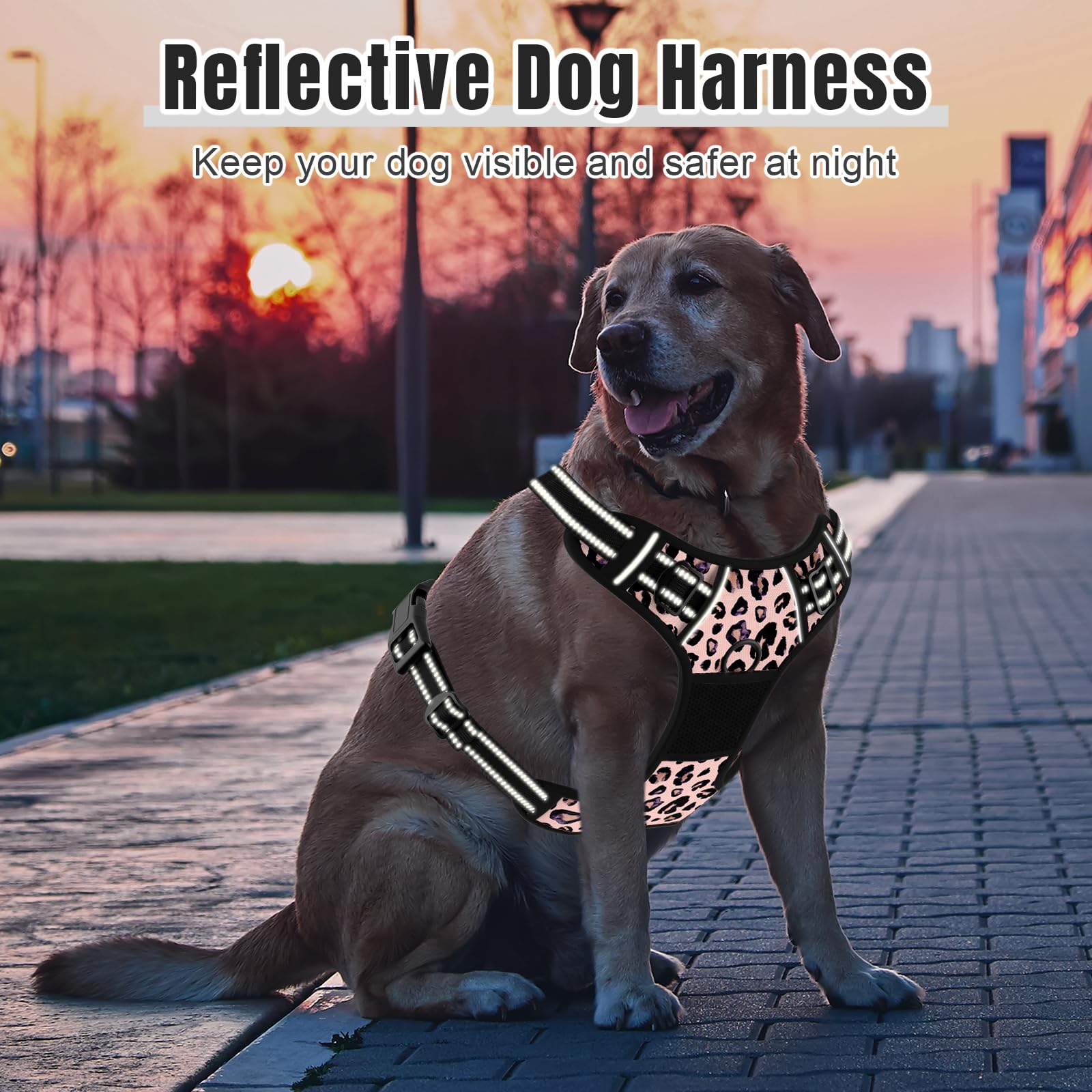 Rnivvi leopard pink harness in action supports training and safety during walks