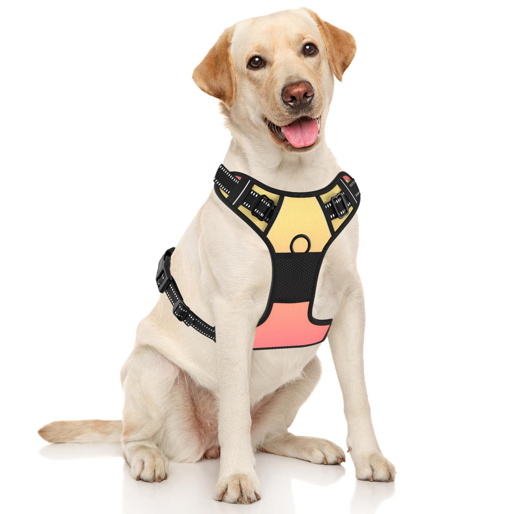 Rnivvi no pull harness abstract gradient back clip supports relaxed leash walking