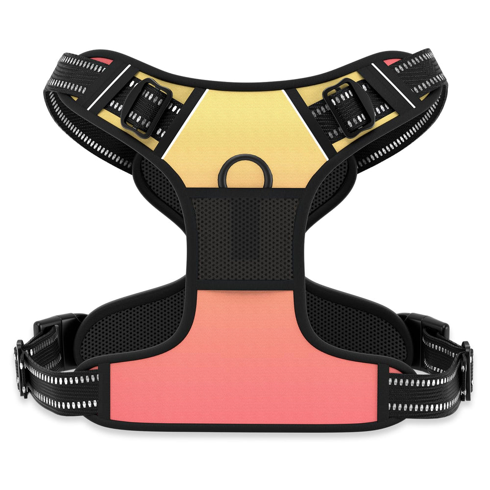 Rnivvi no pull harness abstract gradient front clip aids gentle control on walks