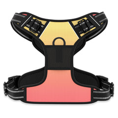 Rnivvi no pull harness abstract gradient front clip aids gentle control on walks