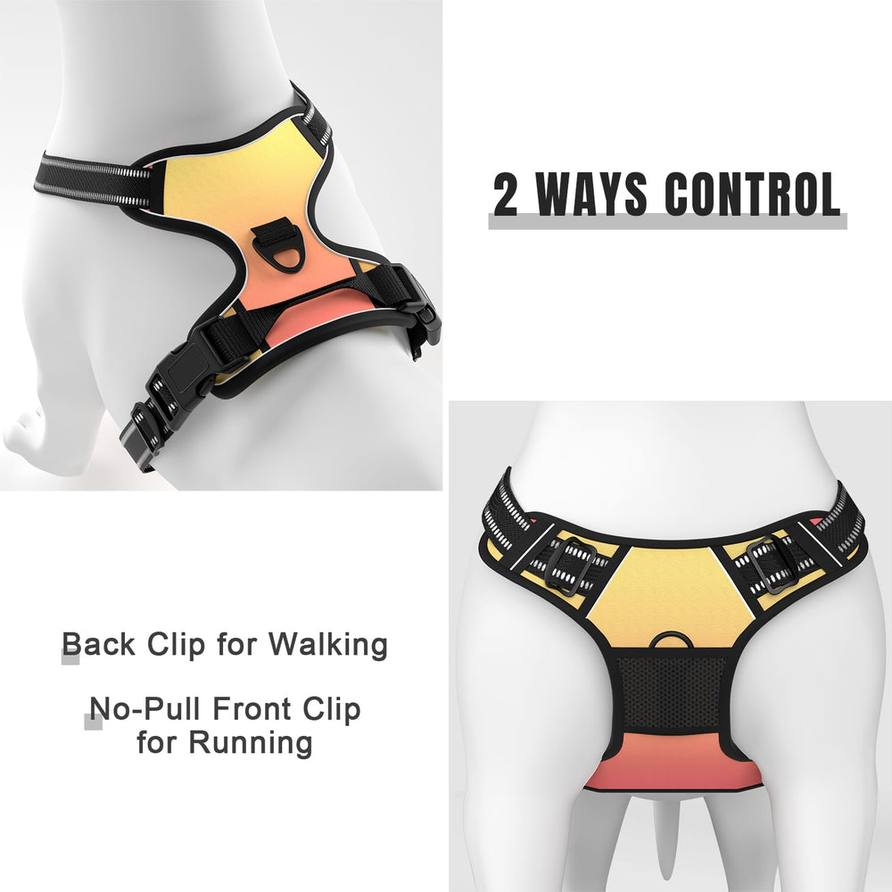Rnivvi no pull harness adjustable straps ensure secure fit across dogs