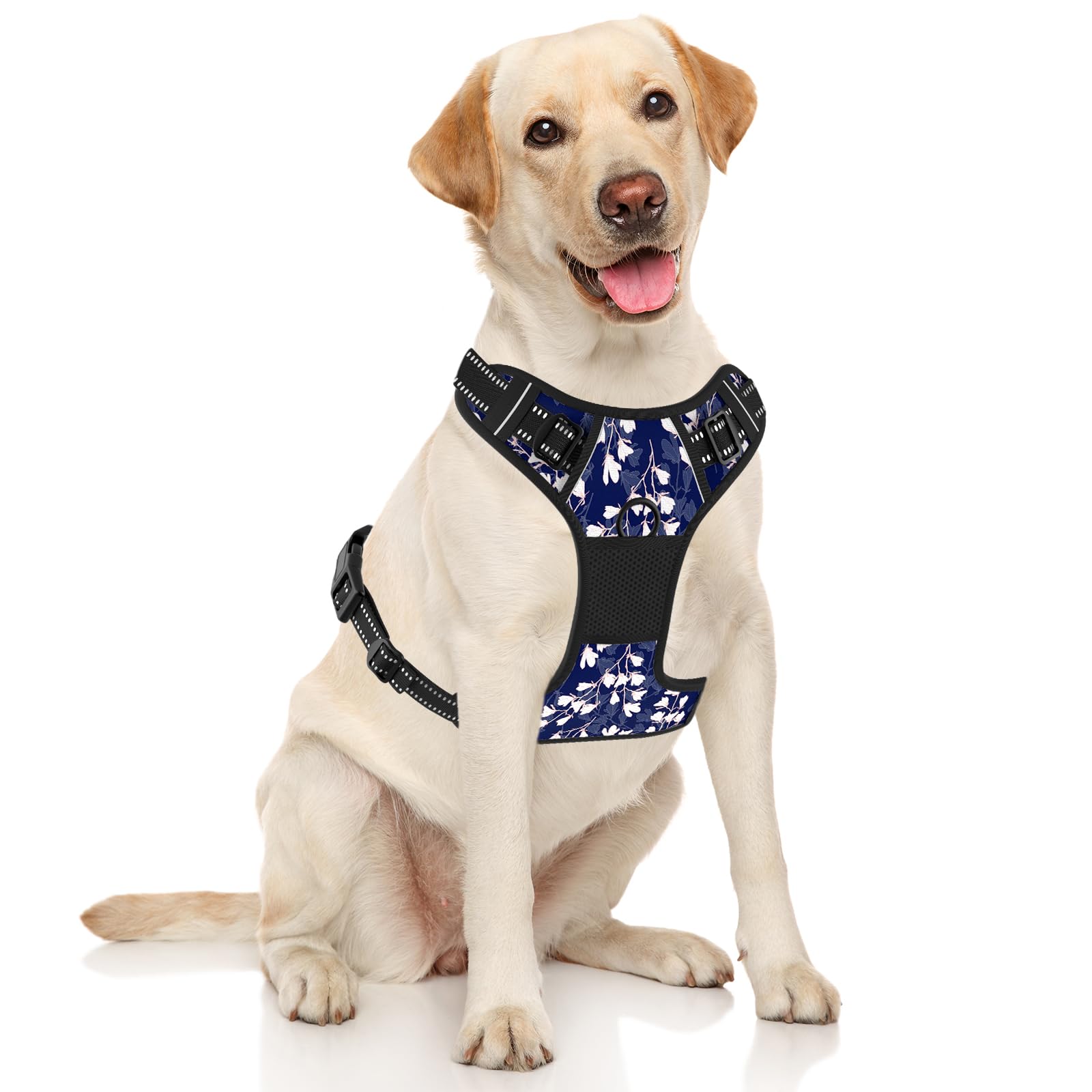 Rnivvi No Pull Harness back clip for relaxed walking on casual days