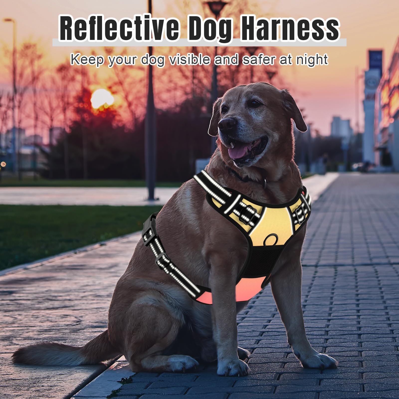 Rnivvi no pull harness easy control handle for confident walking