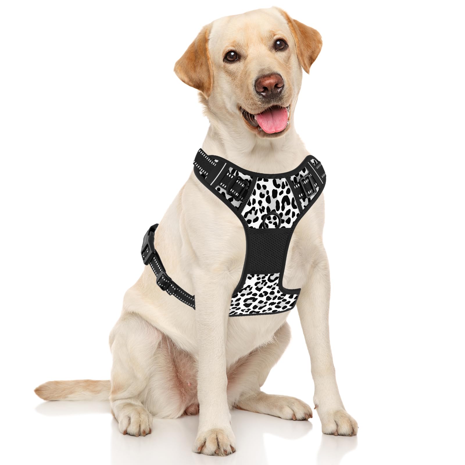 Rnivvi leopard back clip harness suited for relaxed, non-pulling strolls with gentle tug release.