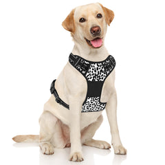 Rnivvi leopard back clip harness suited for relaxed, non-pulling strolls with gentle tug release.