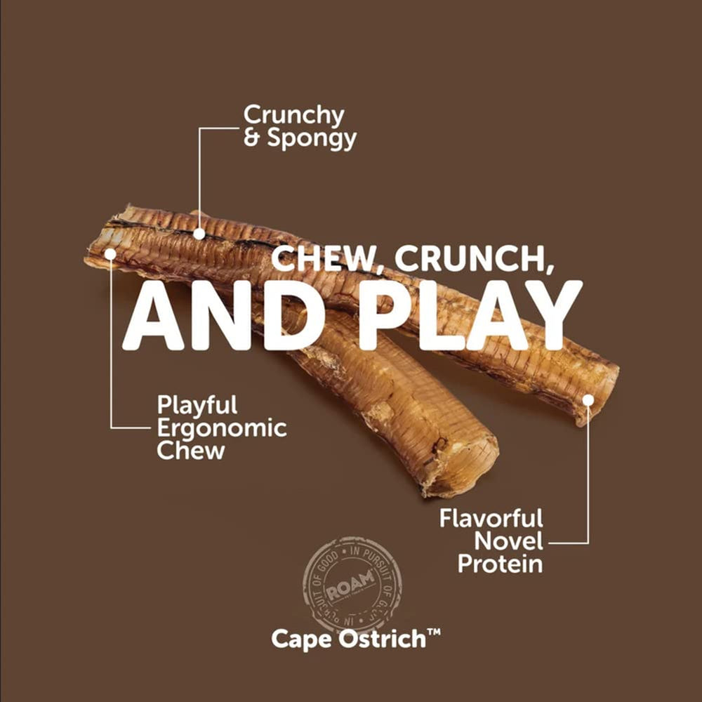 ROAM dog-chewing-ostrich-trachea shows a durable chew for hours of activity