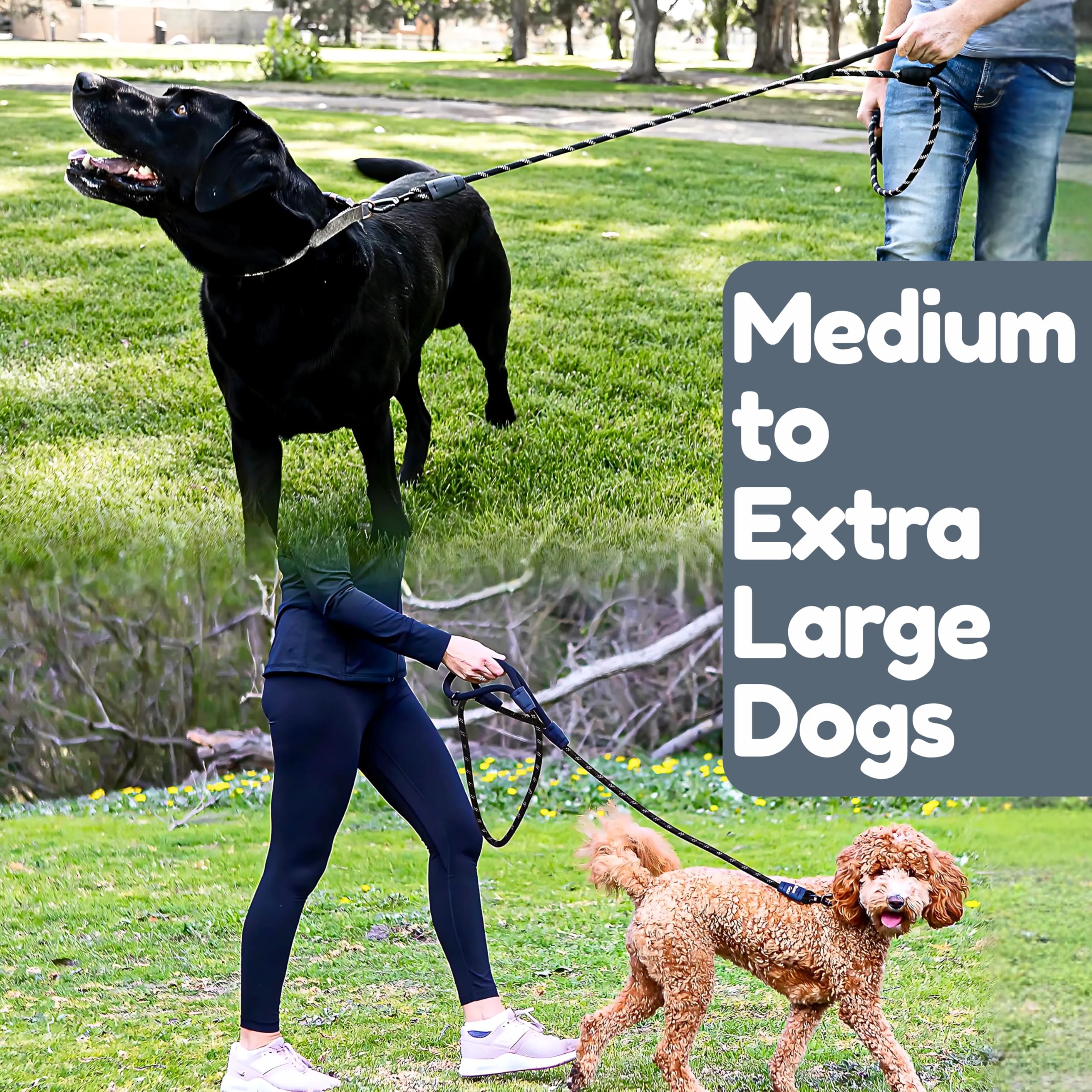 Roam Gear leash ideal for walks, training and hikes with your dog.