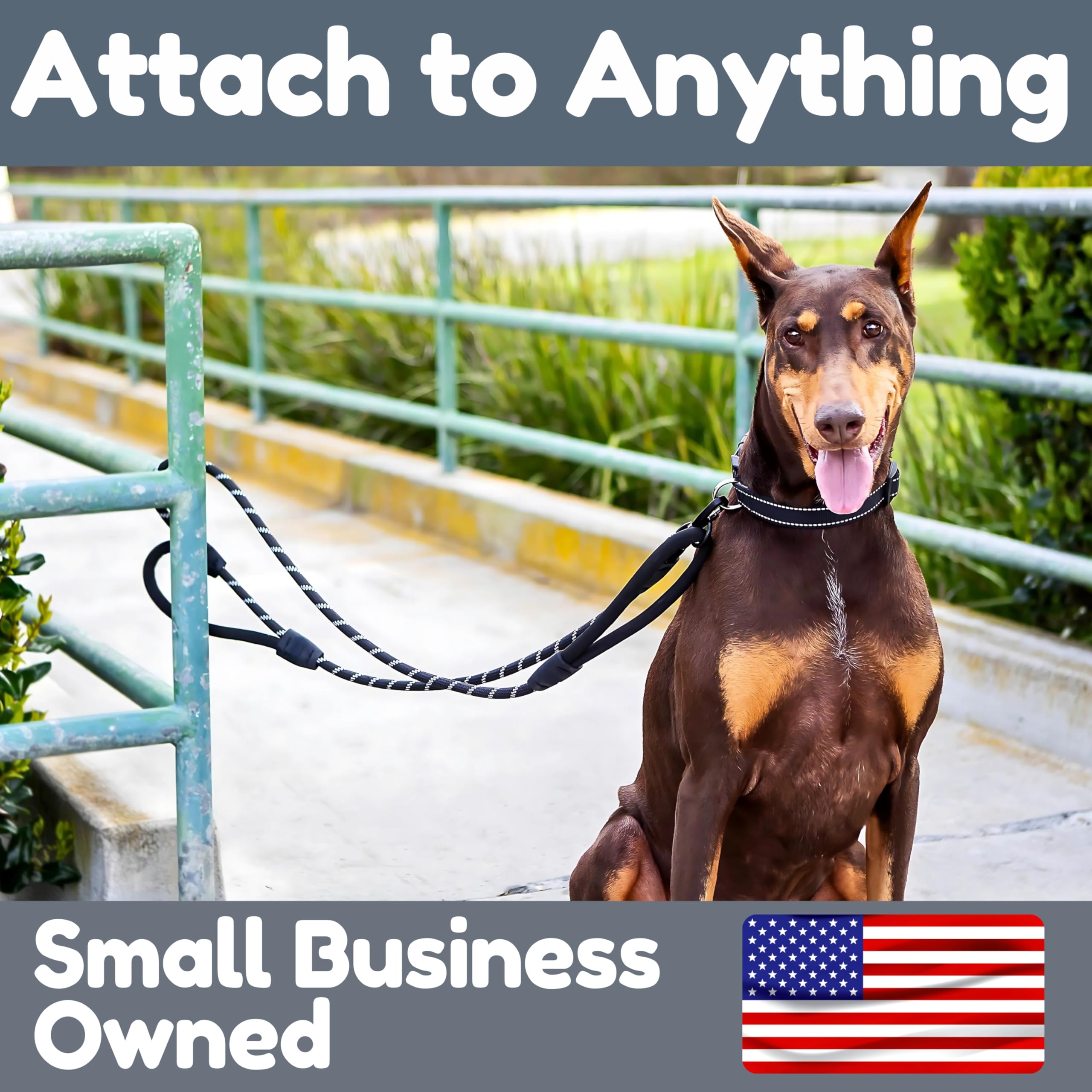 Roam Gear durable leash suitable for large and small breeds.