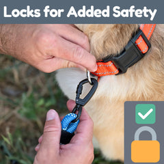 Roam Gear reflective night visibility feature highlighted for safe evening walks