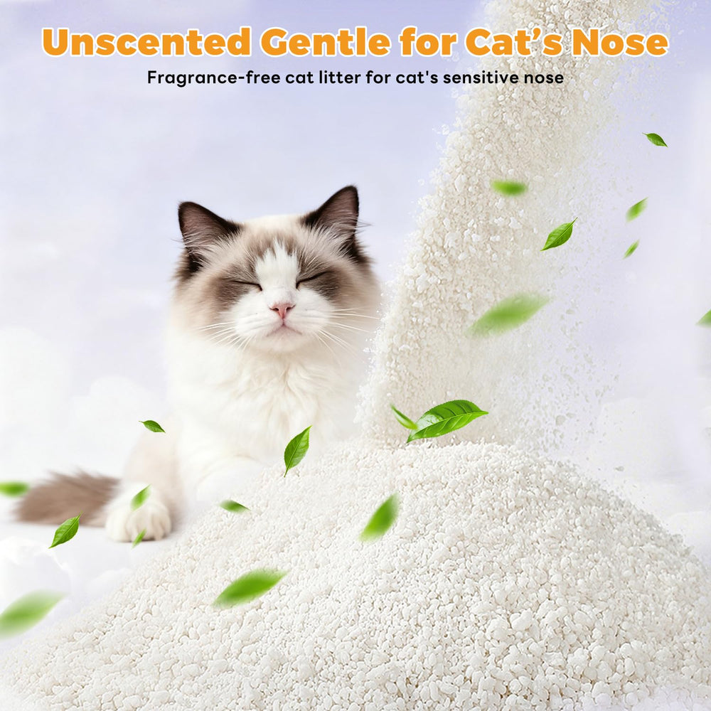 Robotail Premium Cat Litter multi-cat use suits busy homes.