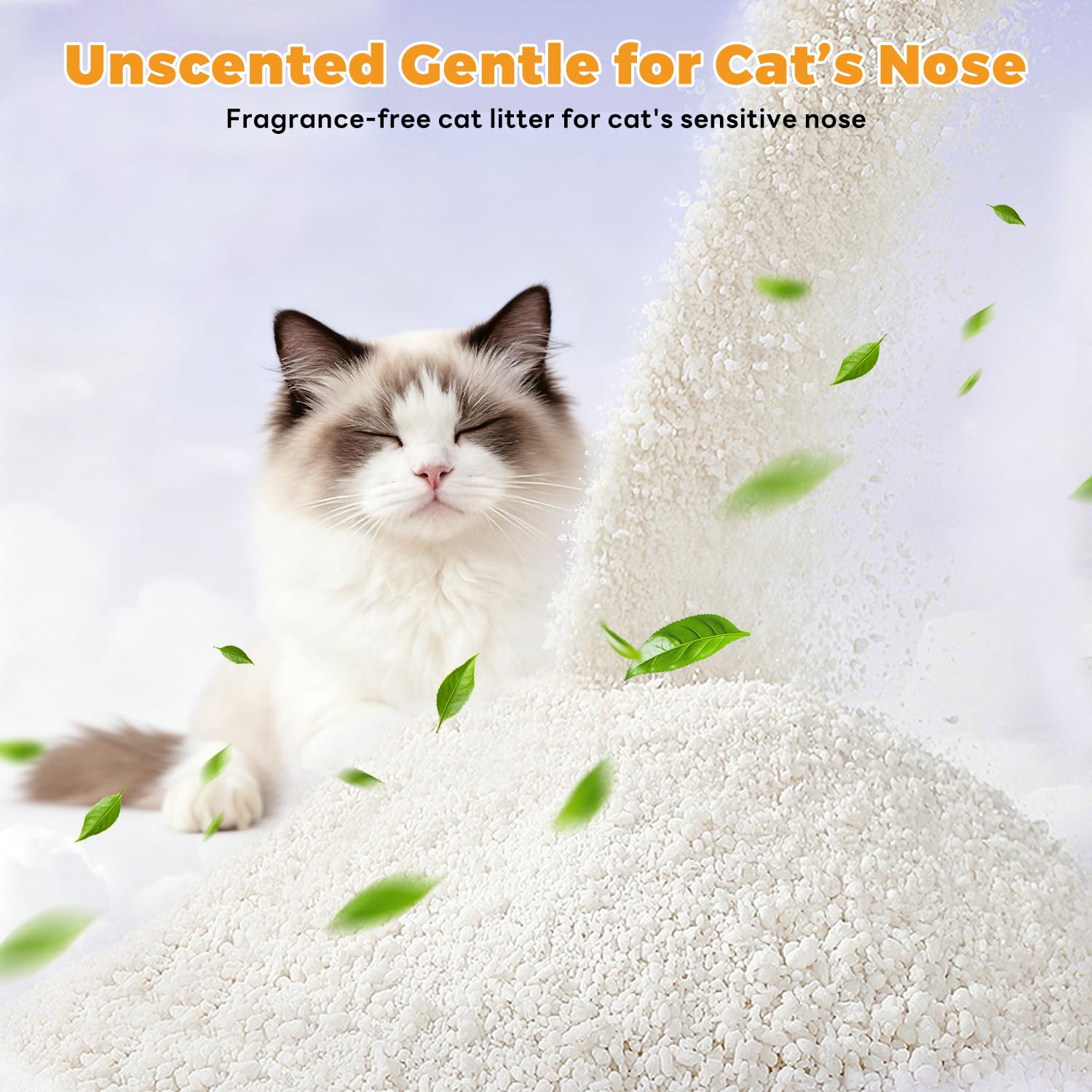 Robotail Premium Cat Litter odor-control performance in the litter area