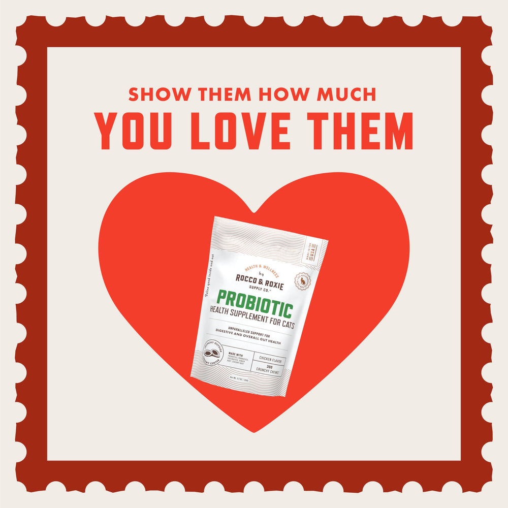 Rocco & Roxie cat probiotics chews close-up highlighting chicken flavor