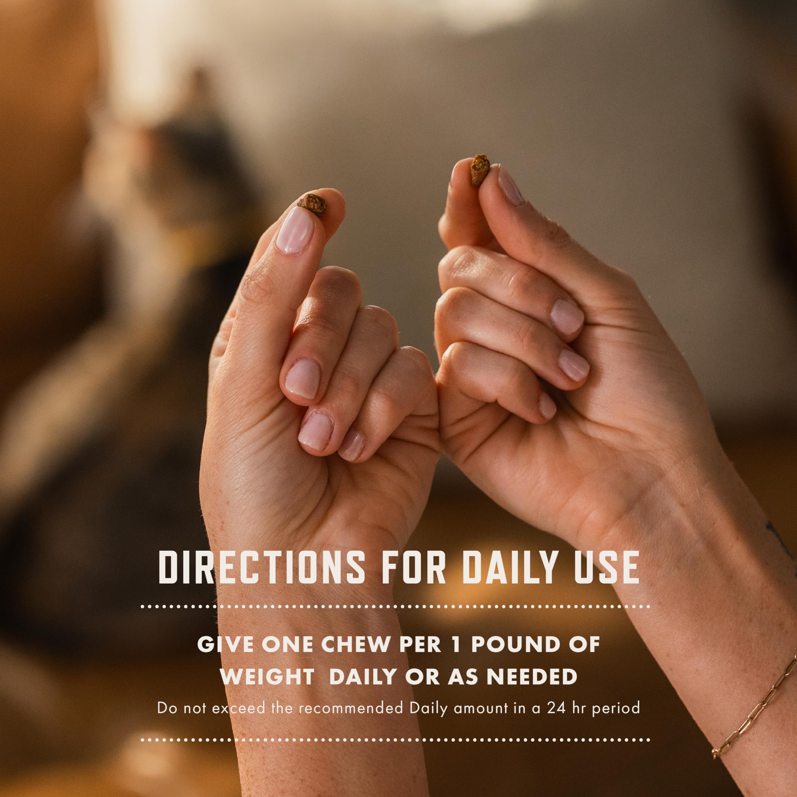 Rocco & Roxie cat probiotics digestive health visual supports daily gut balance