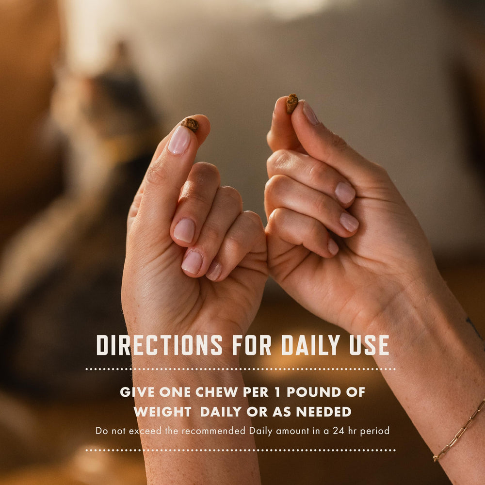 Rocco & Roxie cat probiotics digestive health visual supports daily gut balance