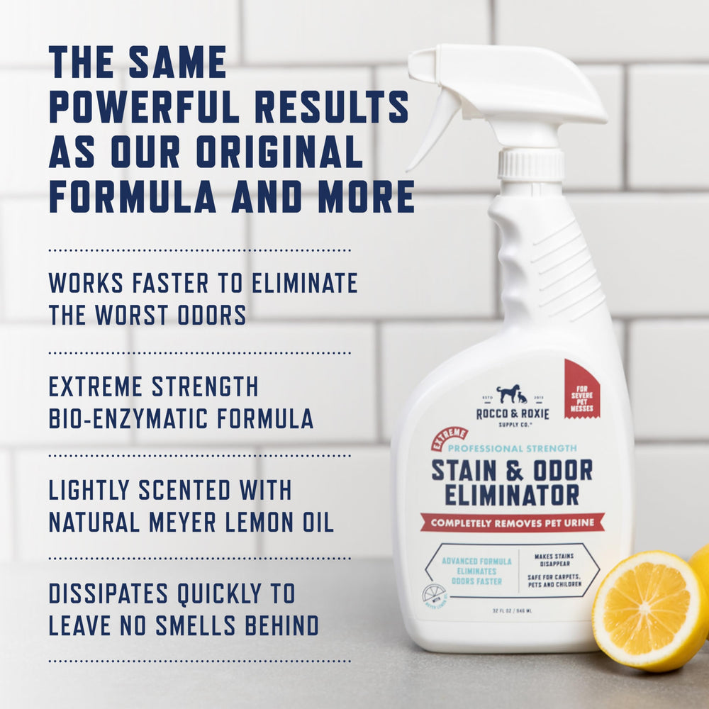 CRI seal on packaging validating carpet-safe cleaning performance.