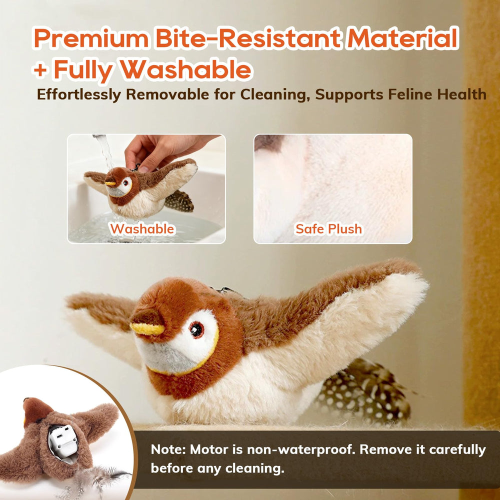 Rocfish interactive bird cat toy supports solo or supervised play.