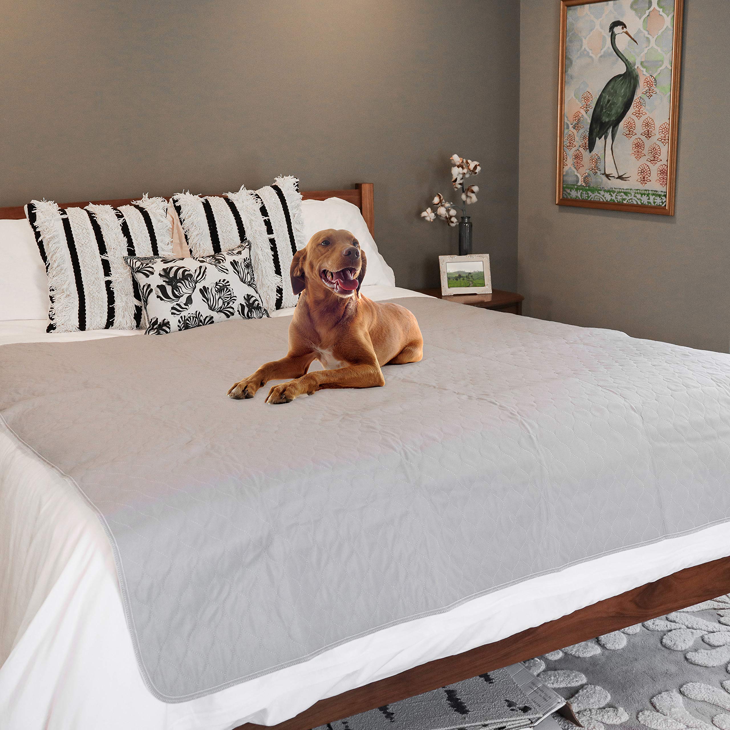 Rocket & Rex pad odor control keeps living spaces fresh