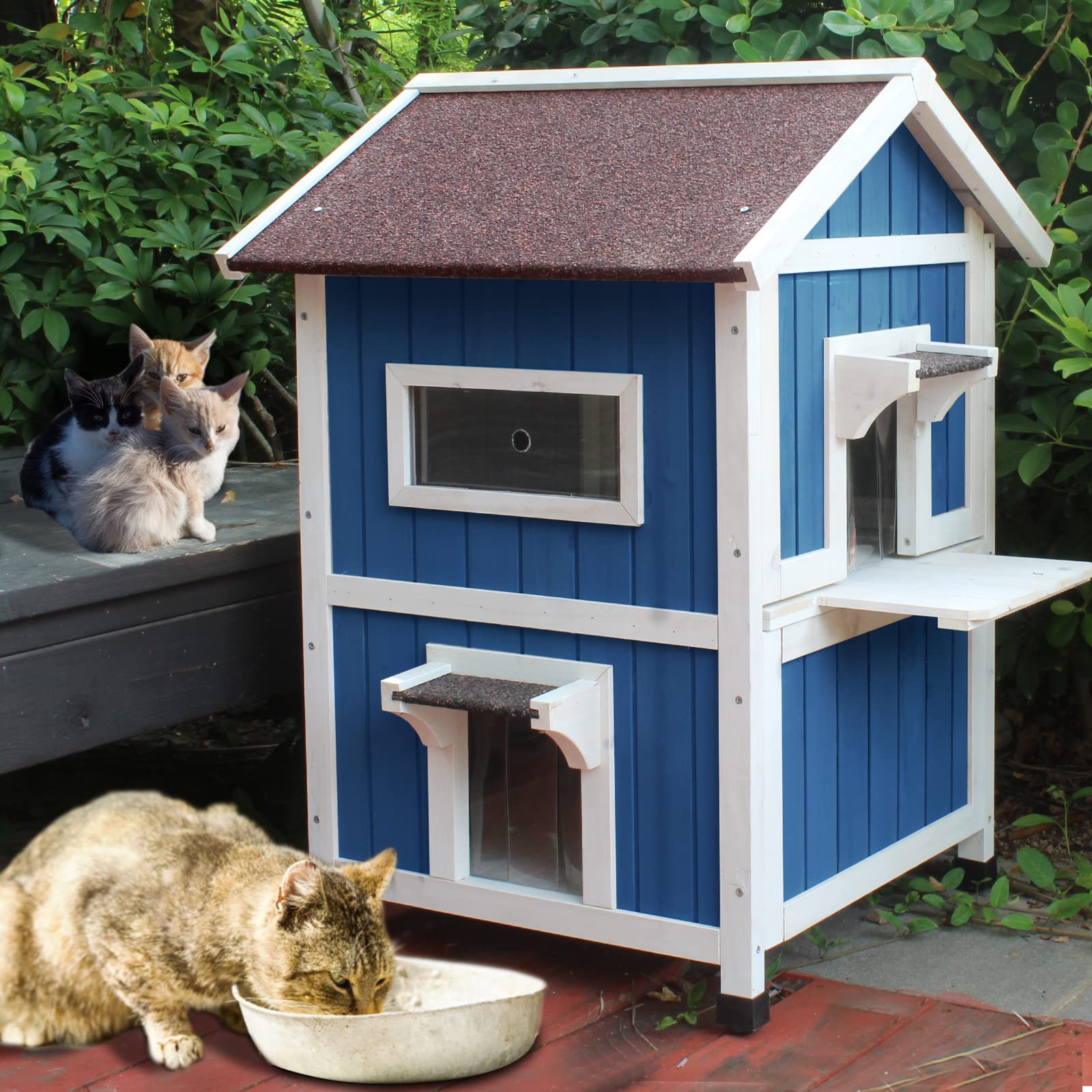 Rockever outdoor cat house escape door offers safe retreat and easy human access.