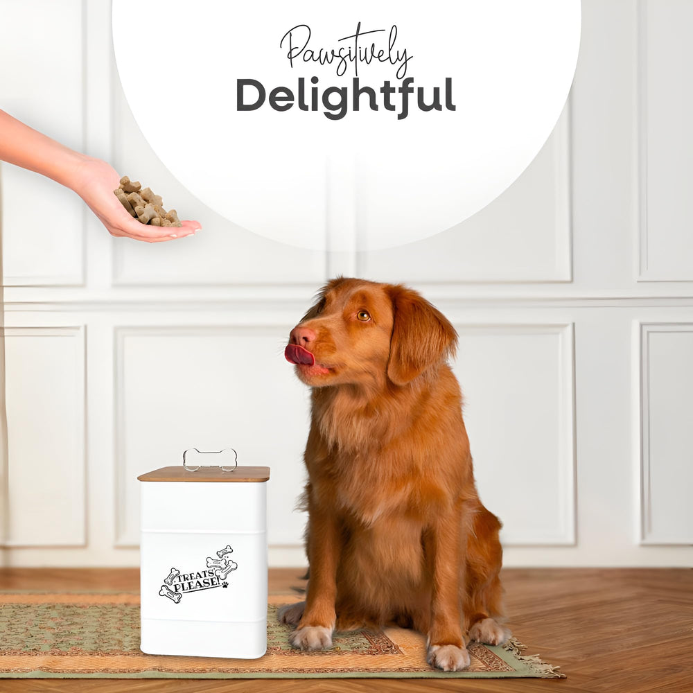Rockyhaus two-pack setup demonstrates value for multi-pet homes