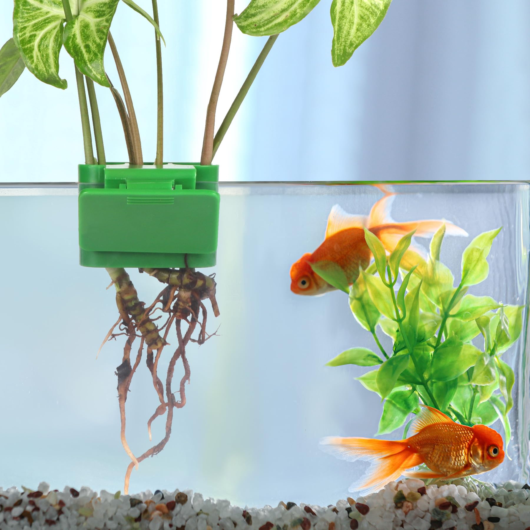 Roetelo plant holder with clamps ensures precise positioning in tanks