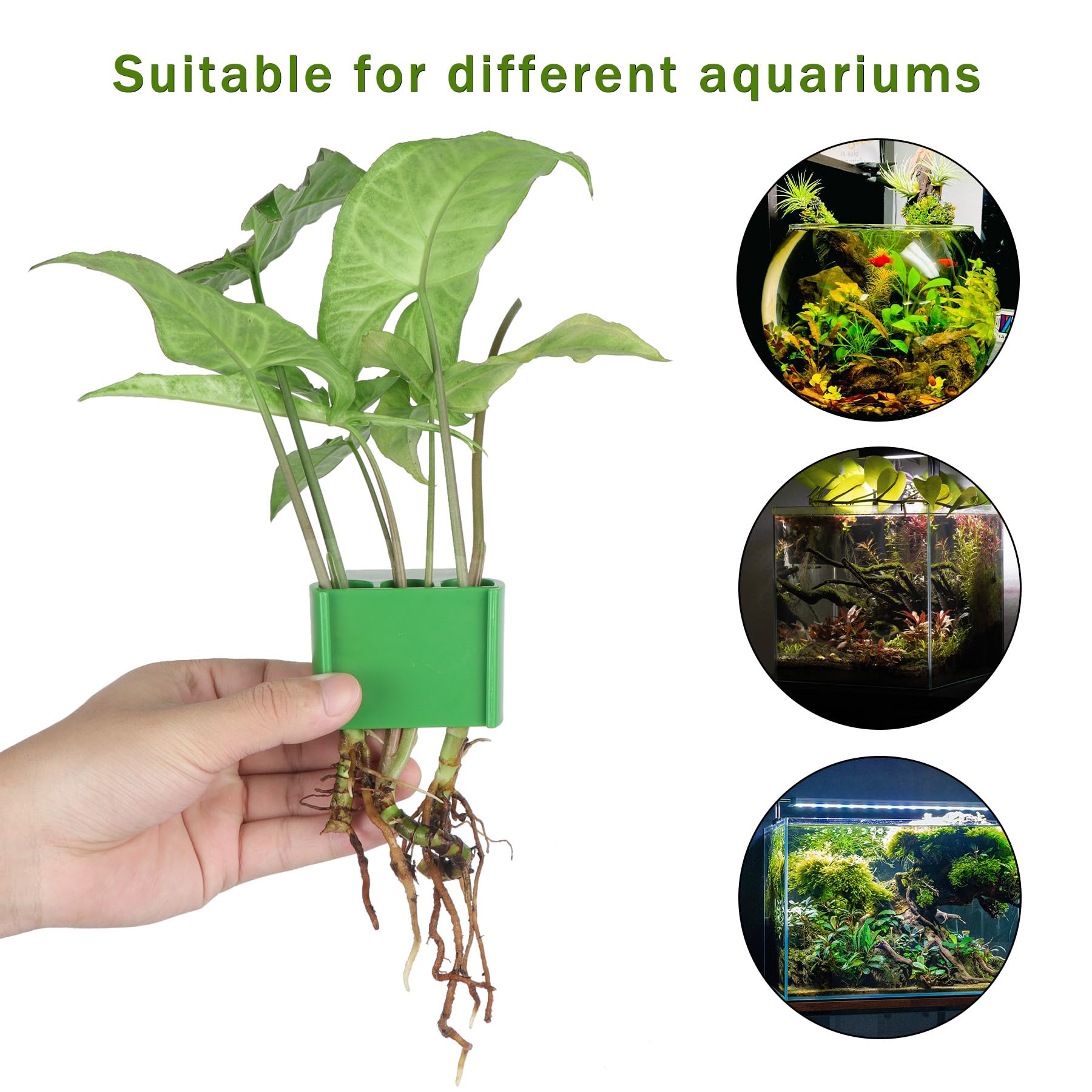 Roetelo three-hole design supports multiple plant varieties securely