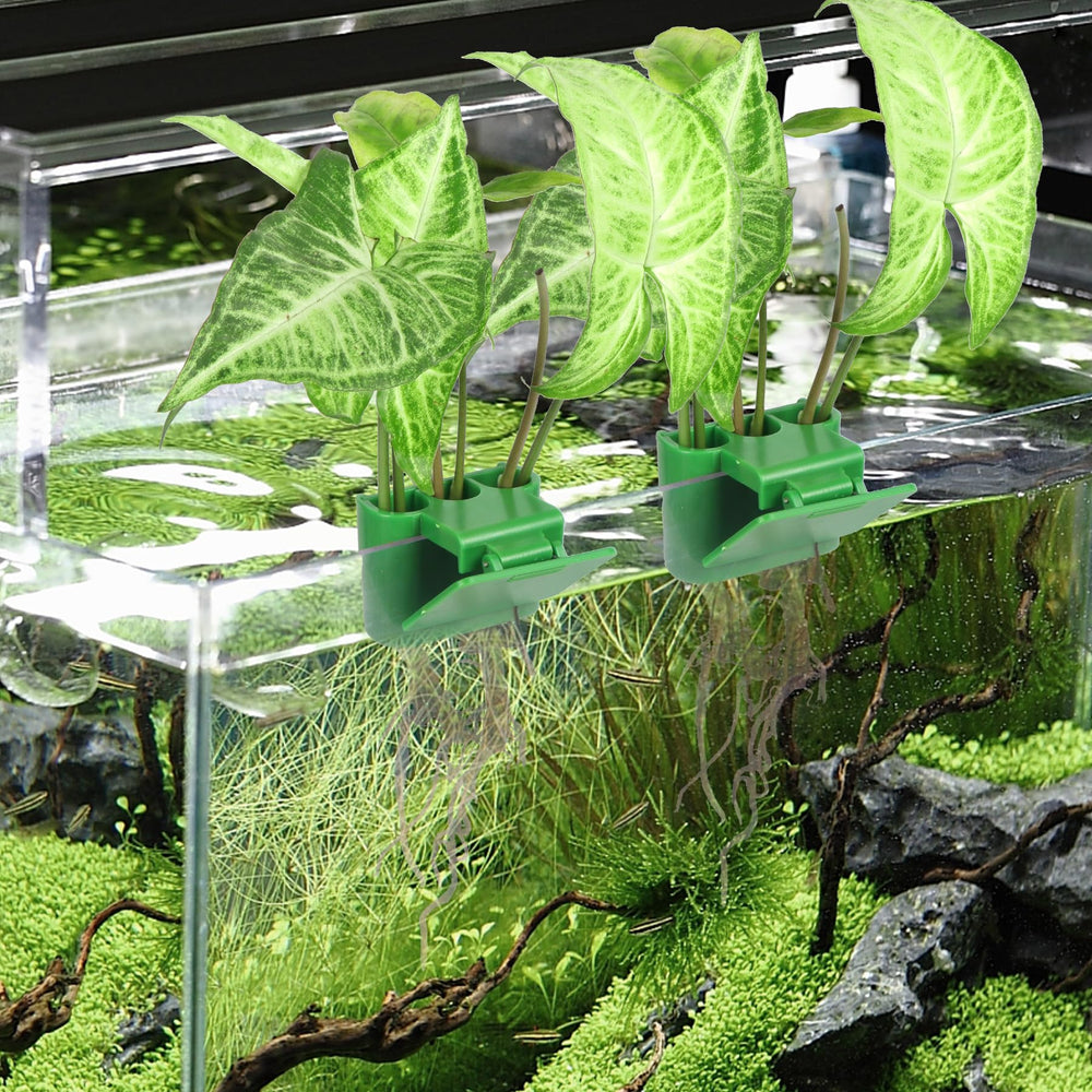 Roetelo multi-plant stand doubles as decorative aquarium decor