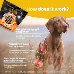 Rogue Pet Science Healthy Weight toppers in a bowl with a dog enjoying extra energy.