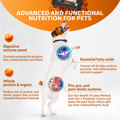 Rogue Pet Science Origins 5-in-1 measuring spoon conveys precise dosing for daily use.