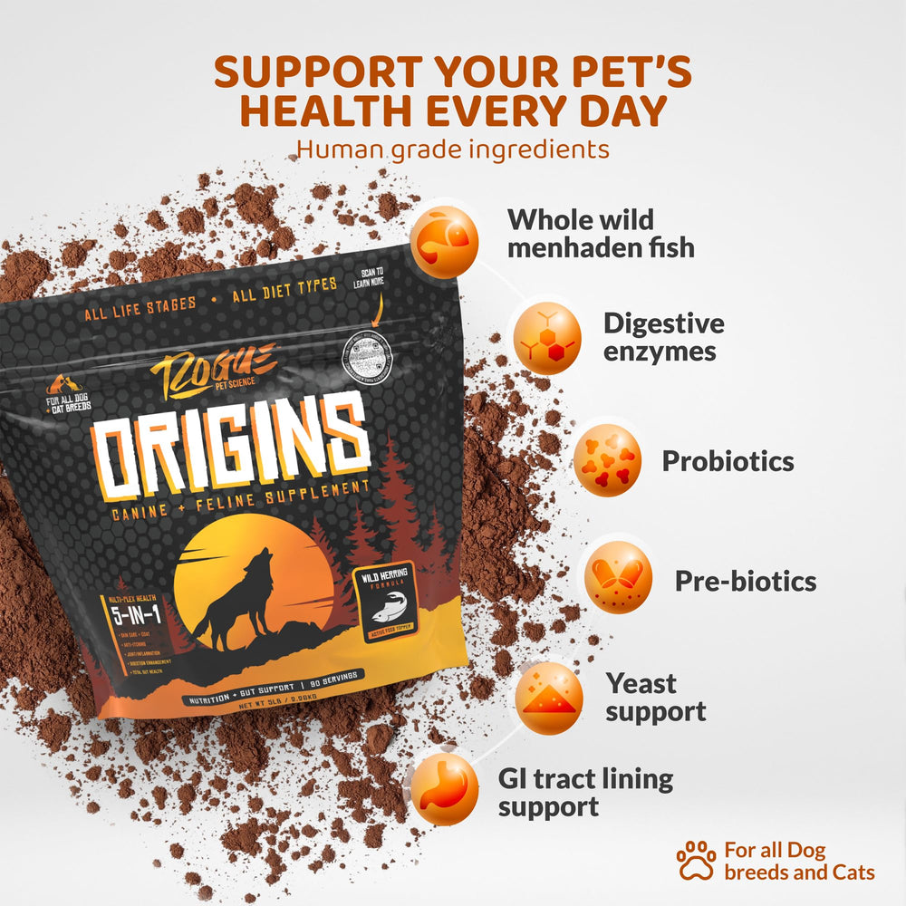 Rogue Pet Science Origins 5-in-1 powder in dish shows mealtime topper potential.