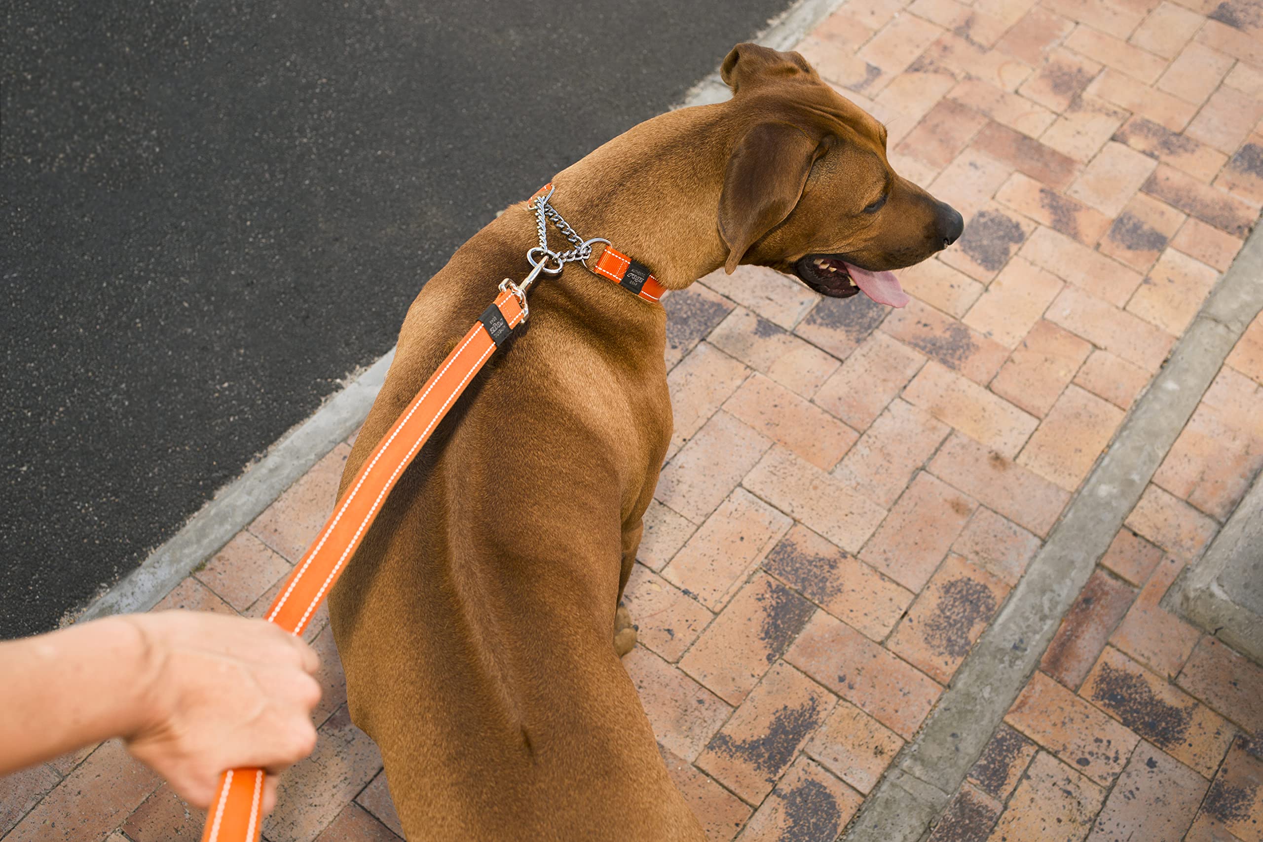 Rogz Reflective Choke Collar pink compatible with leashes and harnesses.