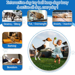 Rohyu E-TPU durable dog balls built for aggressive chewers and long lasting play