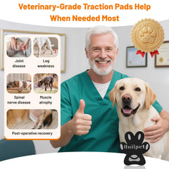 Roilpet paw grips aiding senior dogs with mobility on smooth surfaces.