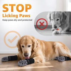 Roilpet senior-comfort socks support mobility and paw coverage.