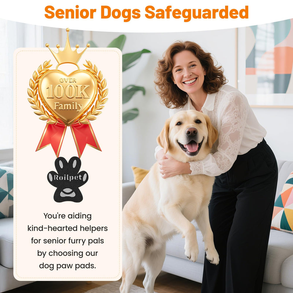 Happy senior dog enjoying safer movement with Roilpet pads.