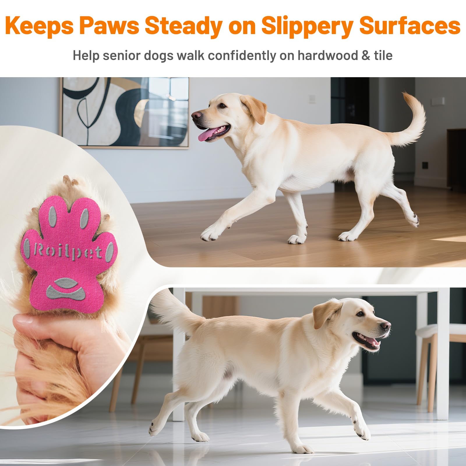 Roilpet paw grips on wood floor show stable stepping during daily walks.