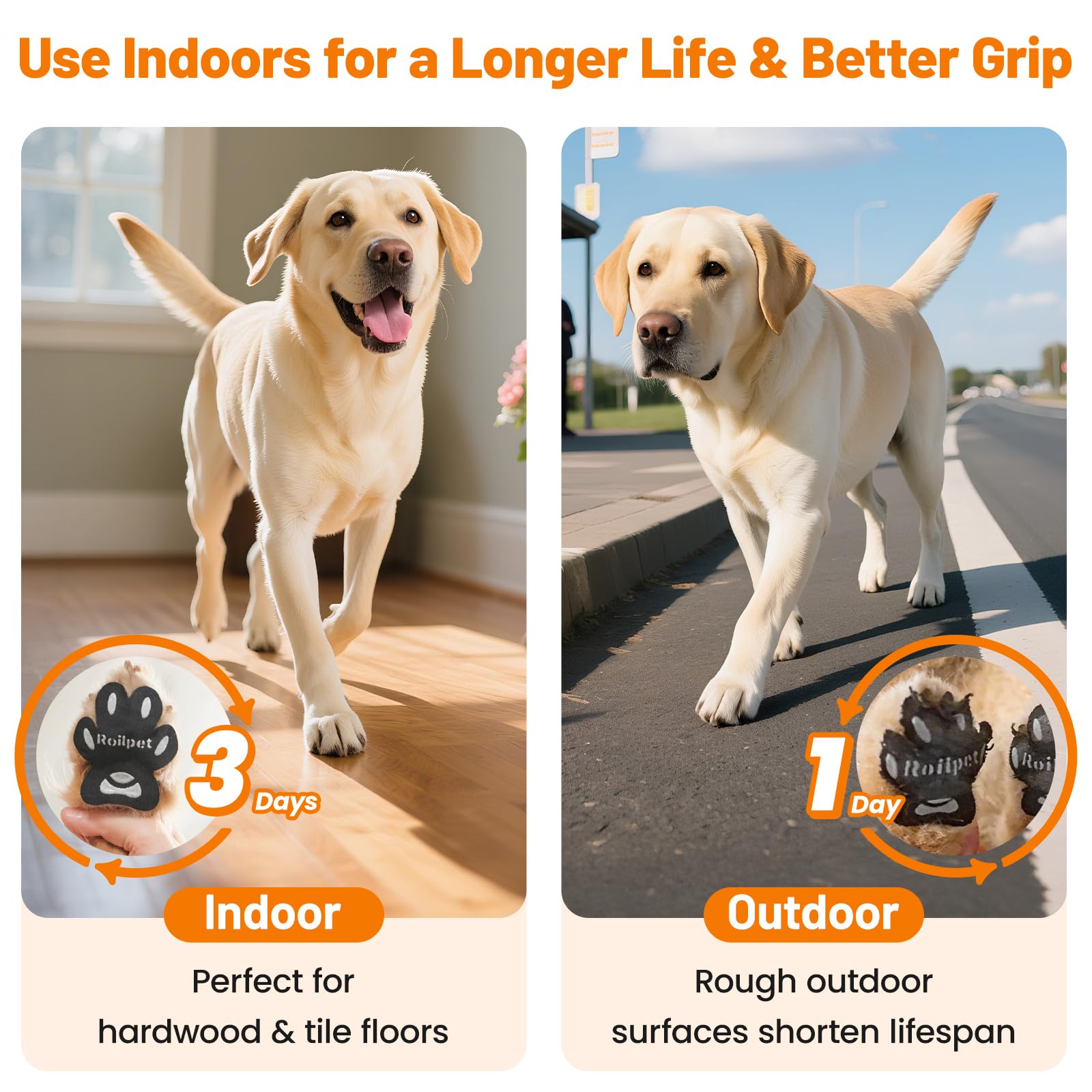 Roilpet senior dog traction shown with confident strides on smooth floor.