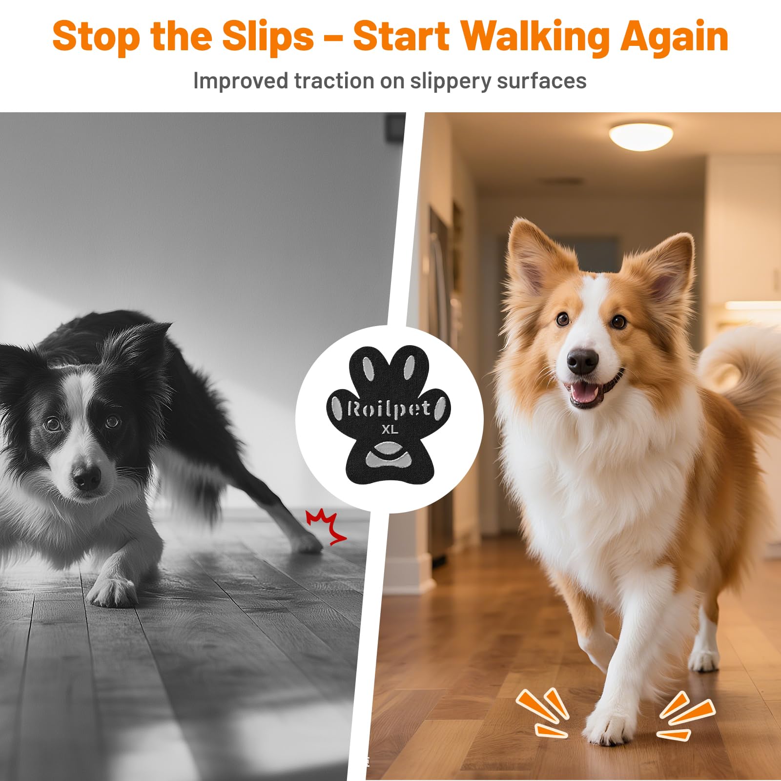 Senior dog walking with Roilpet pads on wood floor for improved stability.