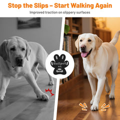 Roilpet senior-dog-walking paw protectors boost stability for arthritis support.